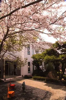 琥珀济州岛度假村 济州市 3*,